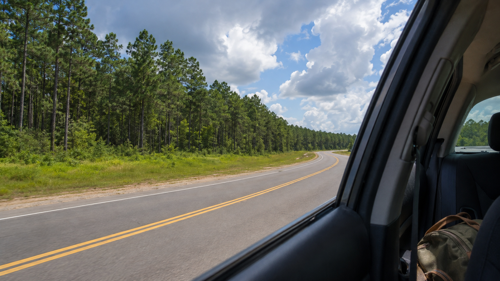 View from a car window of a two-lane road curving through a pine forest beneath summer clouds.