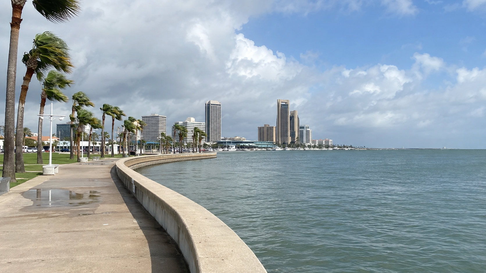 Palm-lined Corpus Christi bayfront promenade curving toward the downtown skyline.