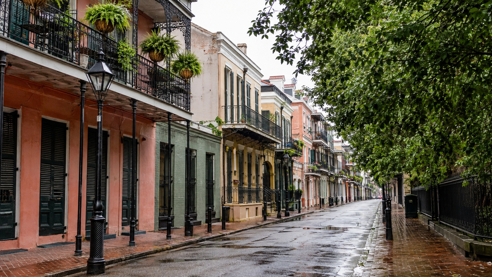 Rain-wet French Quarter street lined with colorful buildings, iron balconies, ferns, and gas-style lamps.