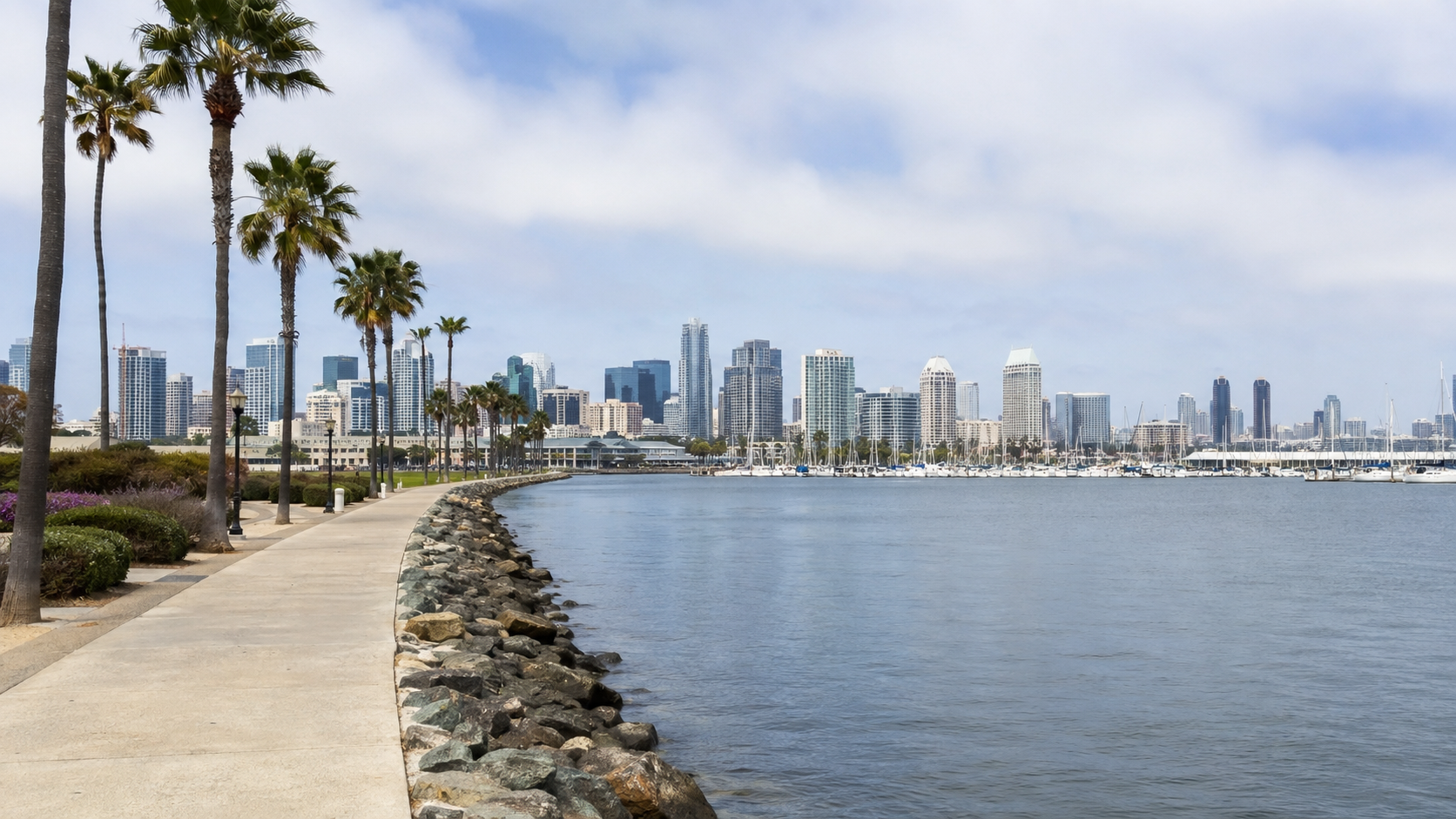 Palm-lined waterfront path overlooking sailboats and the downtown San Diego skyline.